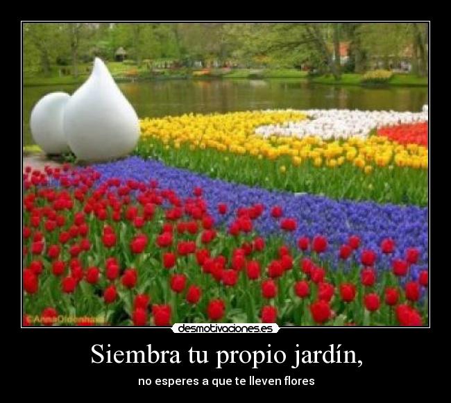 carteles siembra desmotivaciones