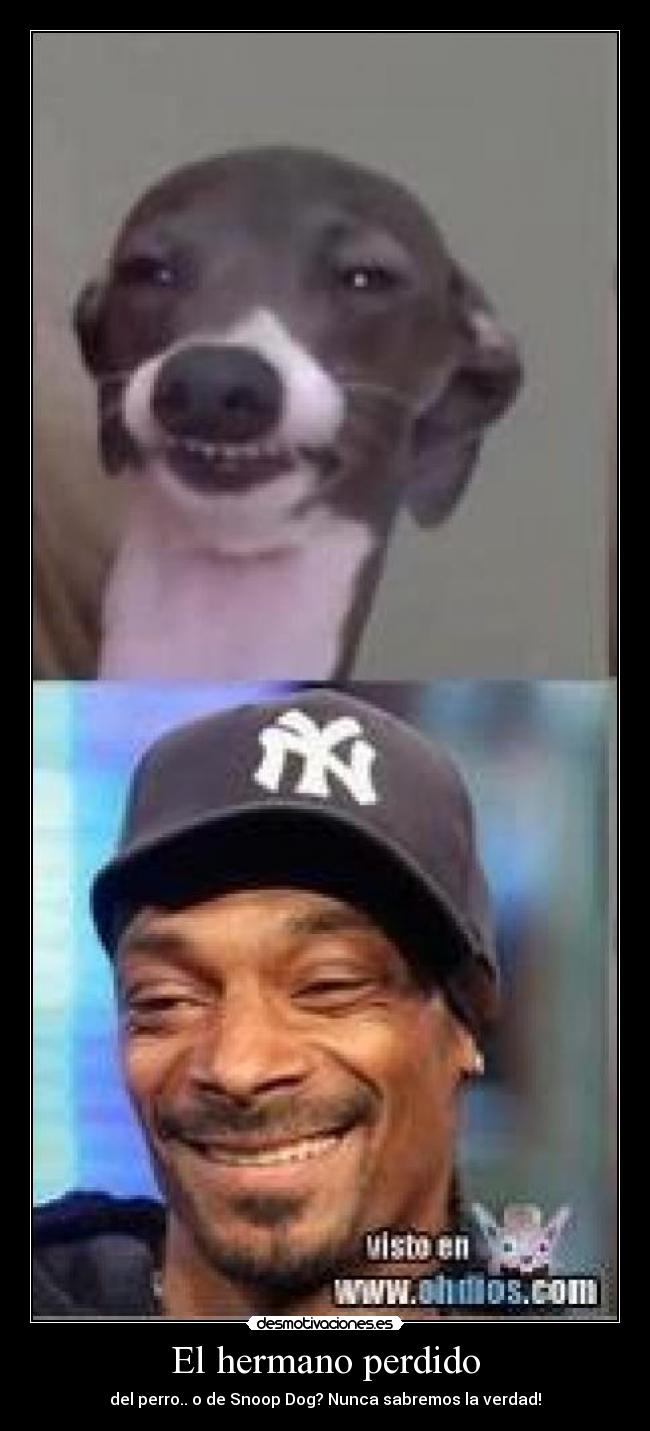 El hermano perdido -