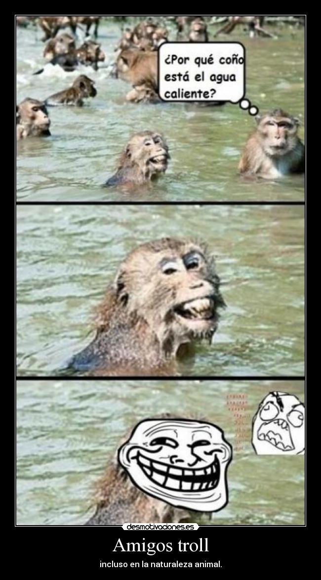 Amigos troll - 