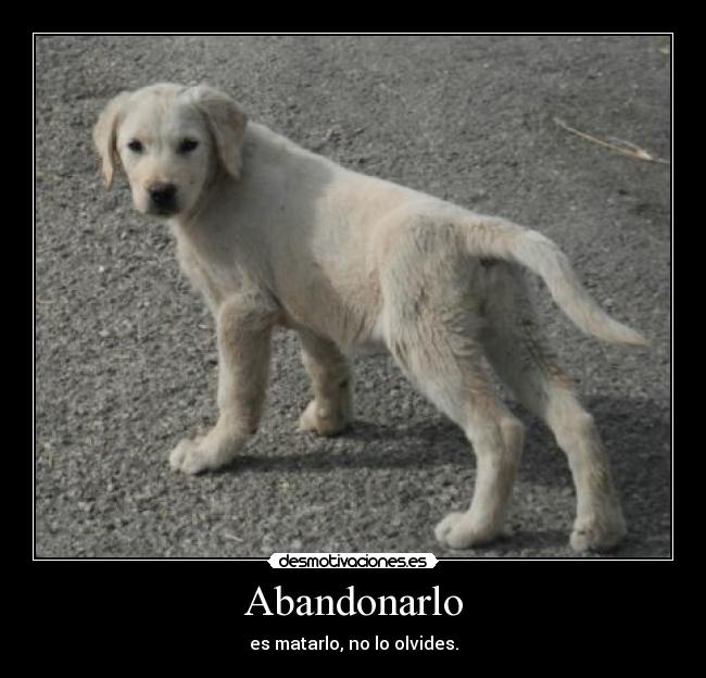 Abandonarlo - es matarlo, no lo olvides.