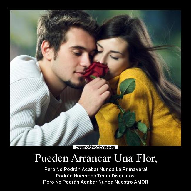 carteles marly mantilla desmotivaciones