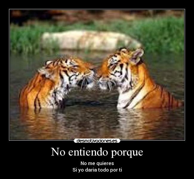 No entiendo porque -