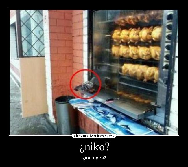 ¿niko? - ¿me oyes?