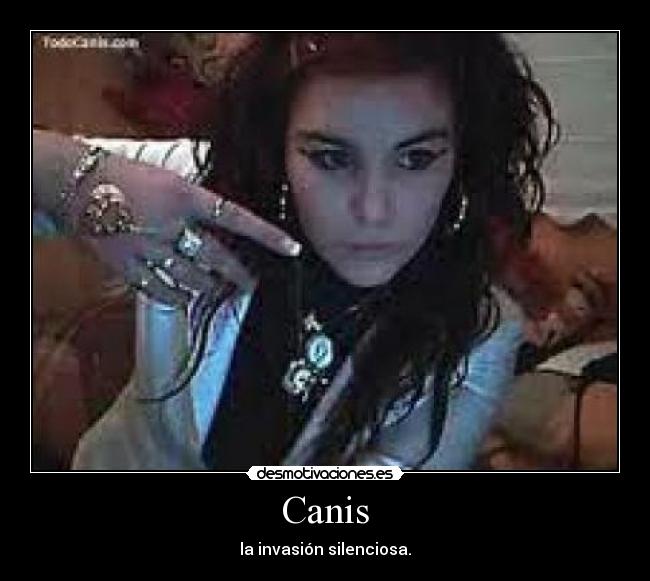 carteles mariatururu desmotivaciones