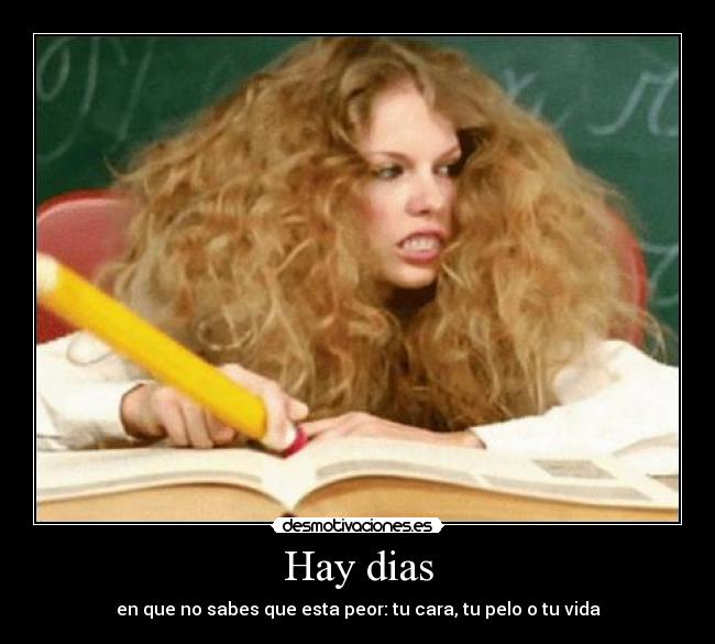 carteles xdddd taylor desmotivaciones