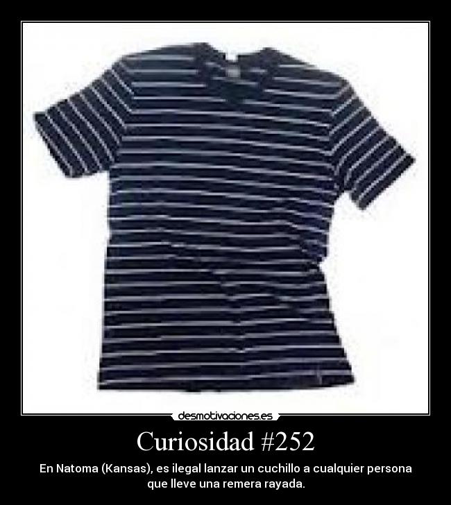 Curiosidad #252 - 