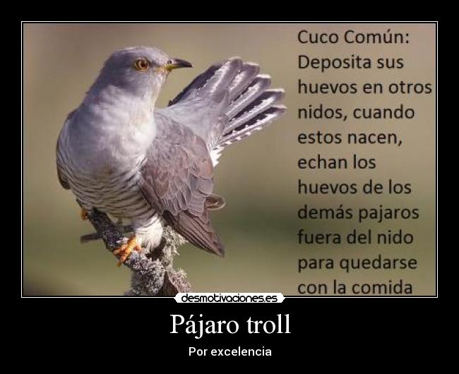 Pájaro troll - Por excelencia