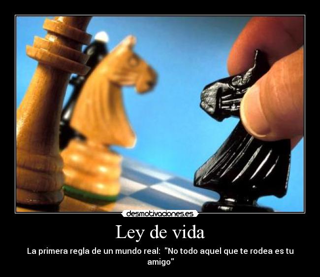 Ley de vida - La primera regla de un mundo real:  No todo aquel que te rodea es tu amigo