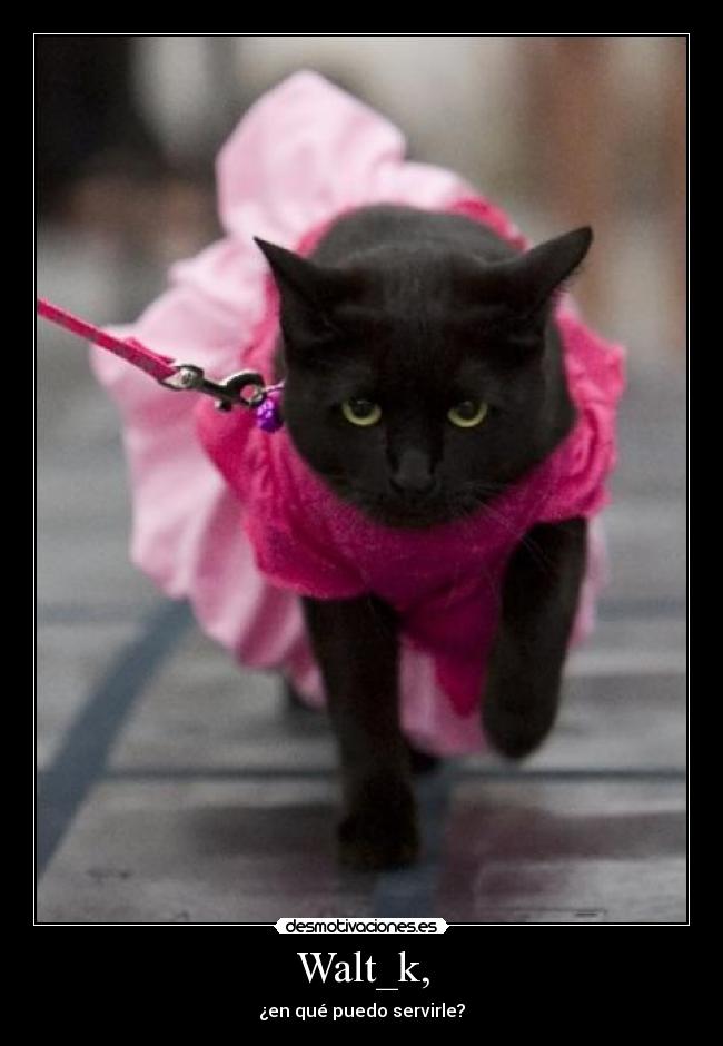 Walt_k, - ¿en qué puedo servirle?