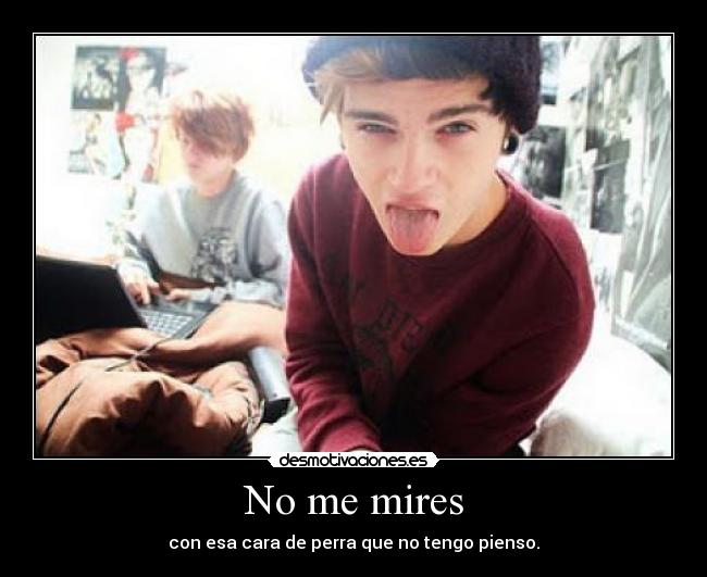 No me mires - con esa cara de perra que no tengo pienso.