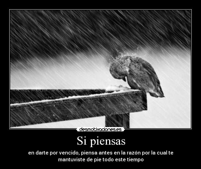 Si piensas - 