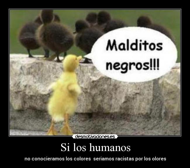 Si los humanos - no conocieramos los colores  seriamos racistas por los olores