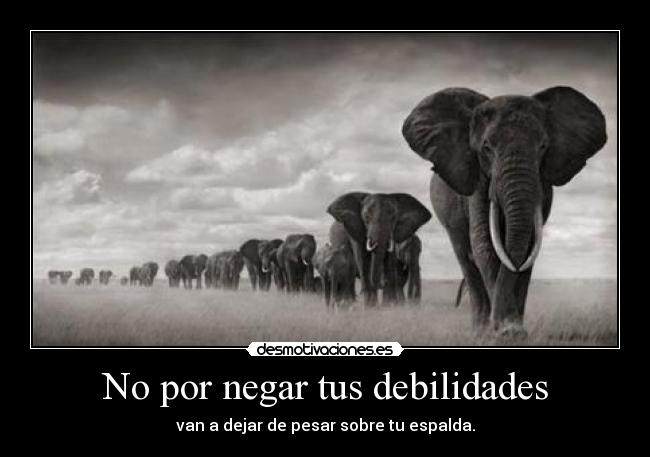 No por negar tus debilidades - 