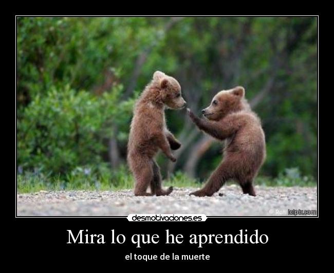 Mira lo que he aprendido -