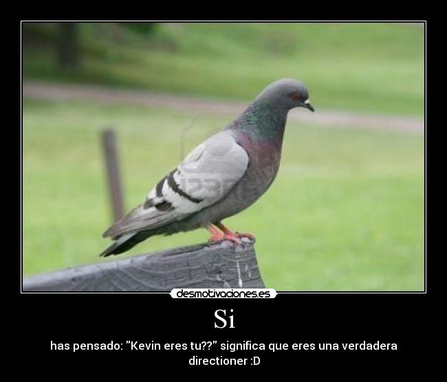 Si - has pensado: Kevin eres tu?? significa que eres una verdadera directioner :D