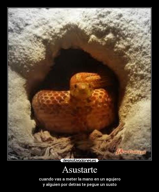 Asustarte - cuando vas a meter la mano en un agujero
y alguien por detras te pegue un susto