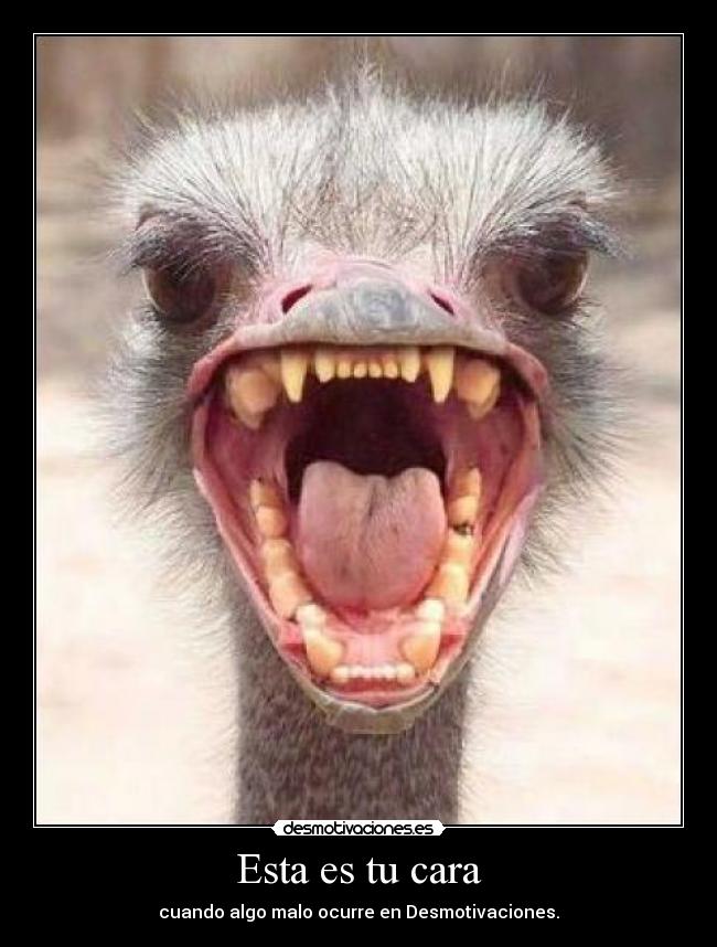 carteles asdf desmotivaciones