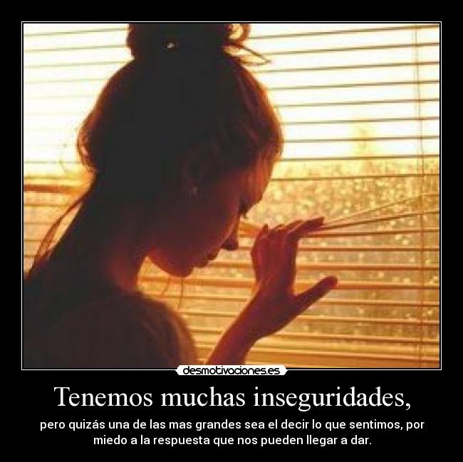 Tenemos muchas inseguridades, -