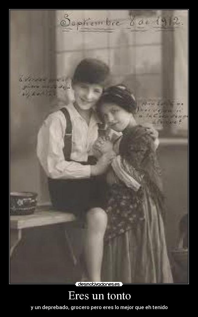 carteles tonto eres tonto deprebado grocero pero eres mejor que tenido desmotivaciones