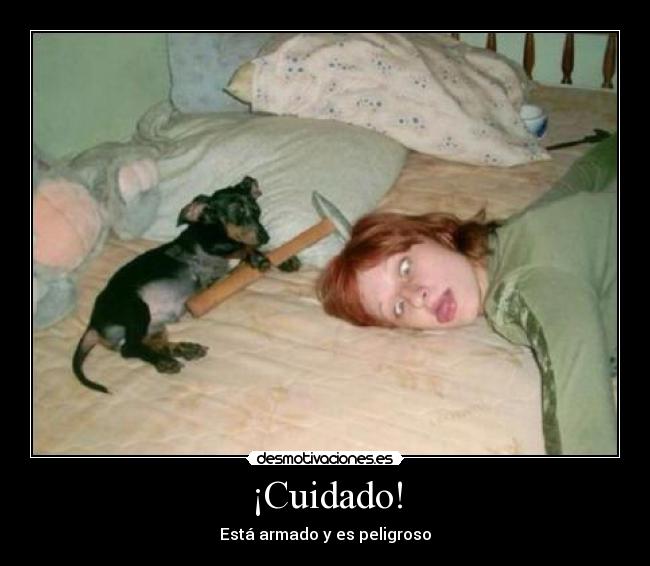 ¡Cuidado! - Está armado y es peligroso