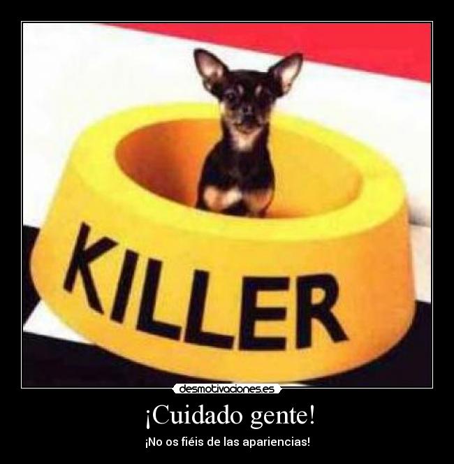 ¡Cuidado gente! - ¡No os fiéis de las apariencias!