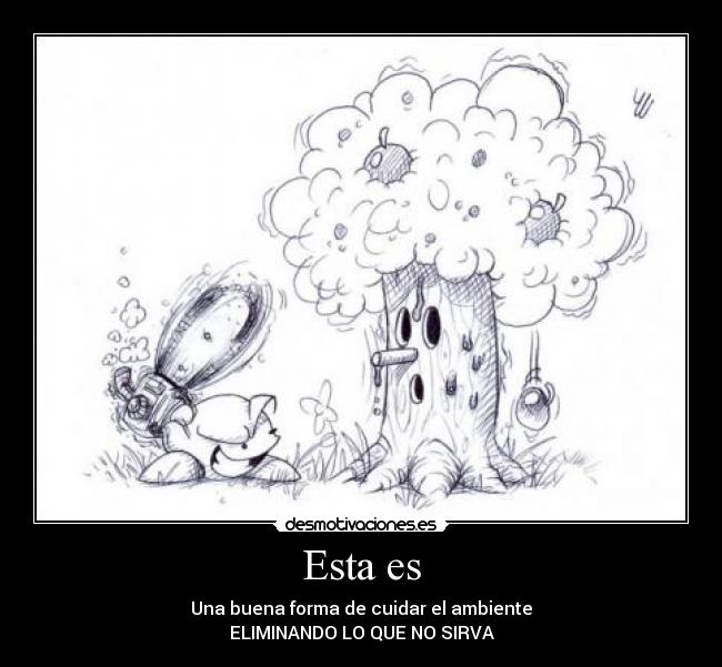 Esta es - Una buena forma de cuidar el ambiente
ELIMINANDO LO QUE NO SIRVA