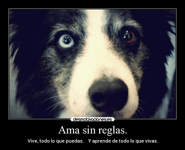 Ama sin reglas. -