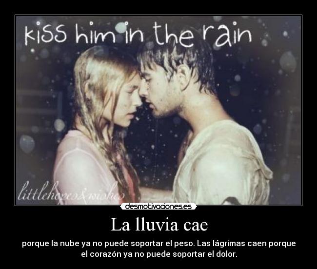 carteles sephora desmotivaciones