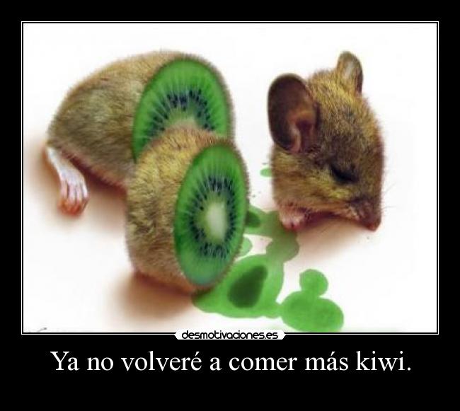 carteles kiwi desmotivaciones