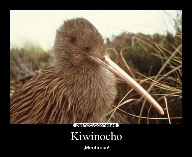 Kiwinocho - ¡Mentiroso!