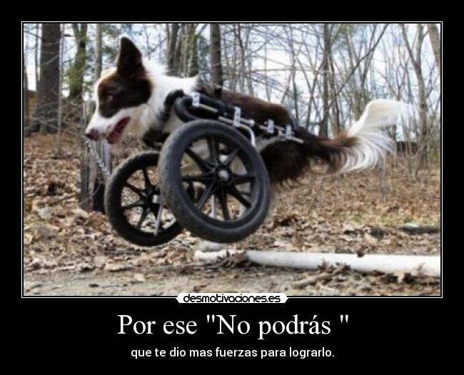 Por ese No podrás - que te dio mas fuerzas para lograrlo.