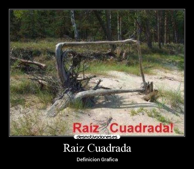 Raiz Cuadrada -