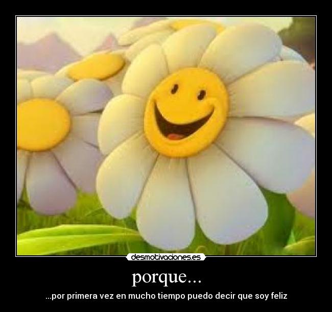 porque... - ...por primera vez en mucho tiempo puedo decir que soy feliz