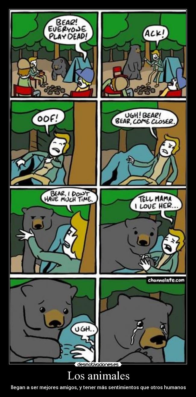 Los animales - llegan a ser mejores amigos, y tener más sentimientos que otros humanos