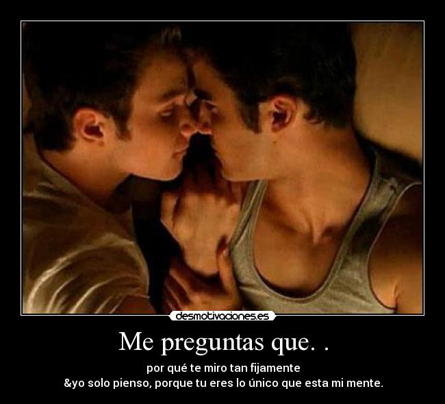 carteles gay but true love desmotivaciones