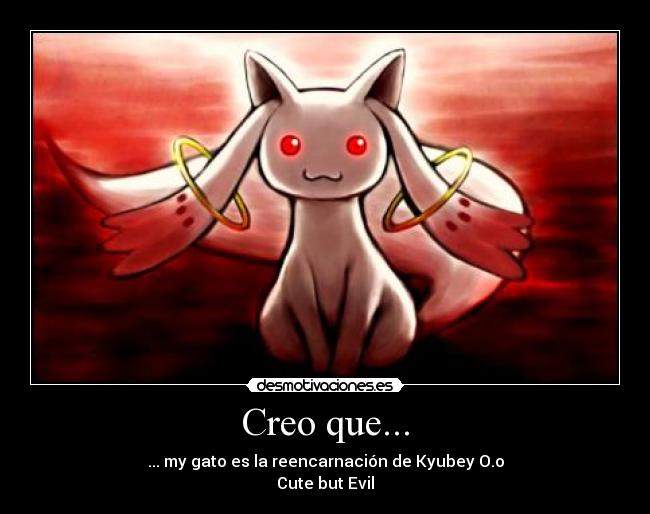 carteles perla igual cute but evil kyubey sin bromear gatita anime desmotivaciones