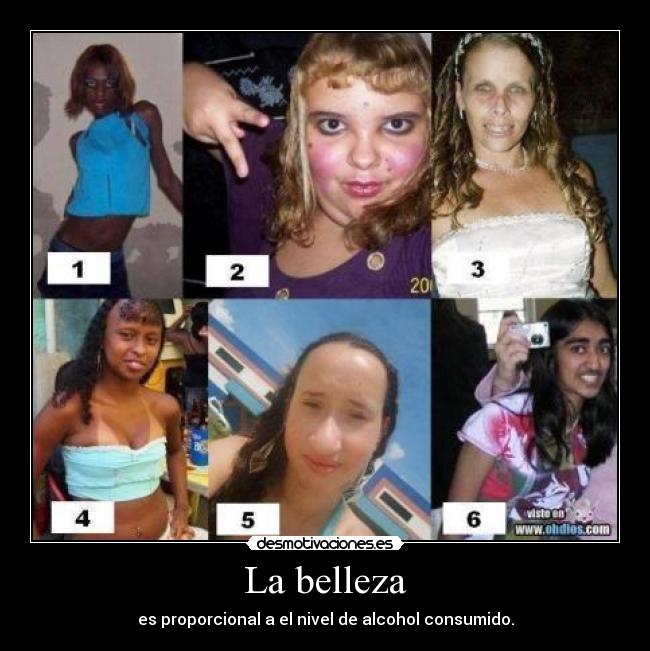 La belleza - es proporcional a el nivel de alcohol consumido.