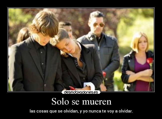 Solo se mueren -