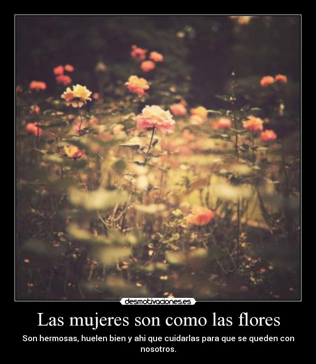 Las mujeres son como las flores - Son hermosas, huelen bien y ahi que cuidarlas para que se queden con nosotros.