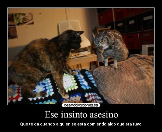 Ese insinto asesino - Que te da cuando alguien se esta comiendo algo que era tuyo.