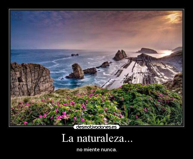 carteles naturaleza sociedad desmotivaciones