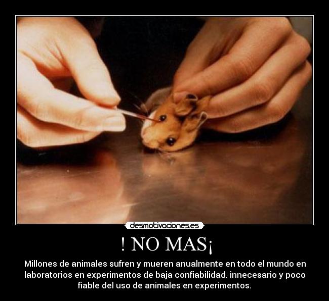 ! NO MAS¡ - Millones de animales sufren y mueren anualmente en todo el mundo en
laboratorios en experimentos de baja confiabilidad. innecesario y poco
fiable del uso de animales en experimentos.