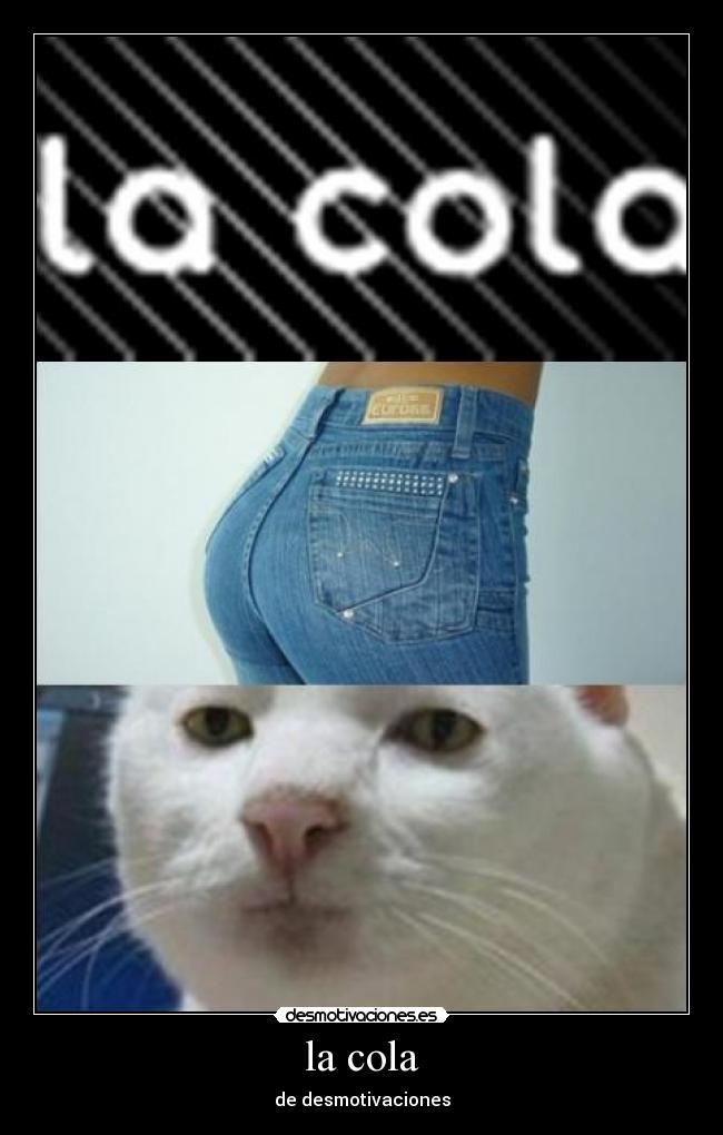 la cola - de desmotivaciones