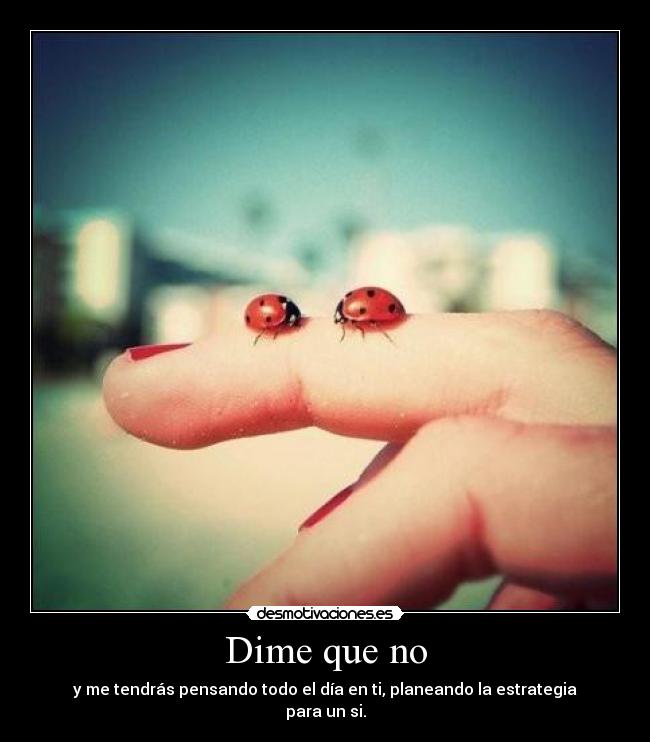 Dime que no - y me tendrás pensando todo el día en ti, planeando la estrategia para un si.