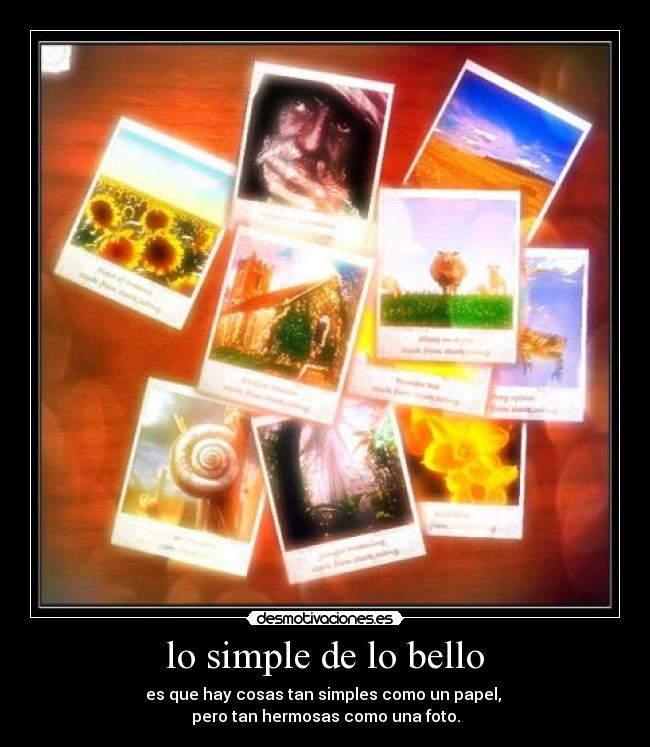 lo simple de lo bello -