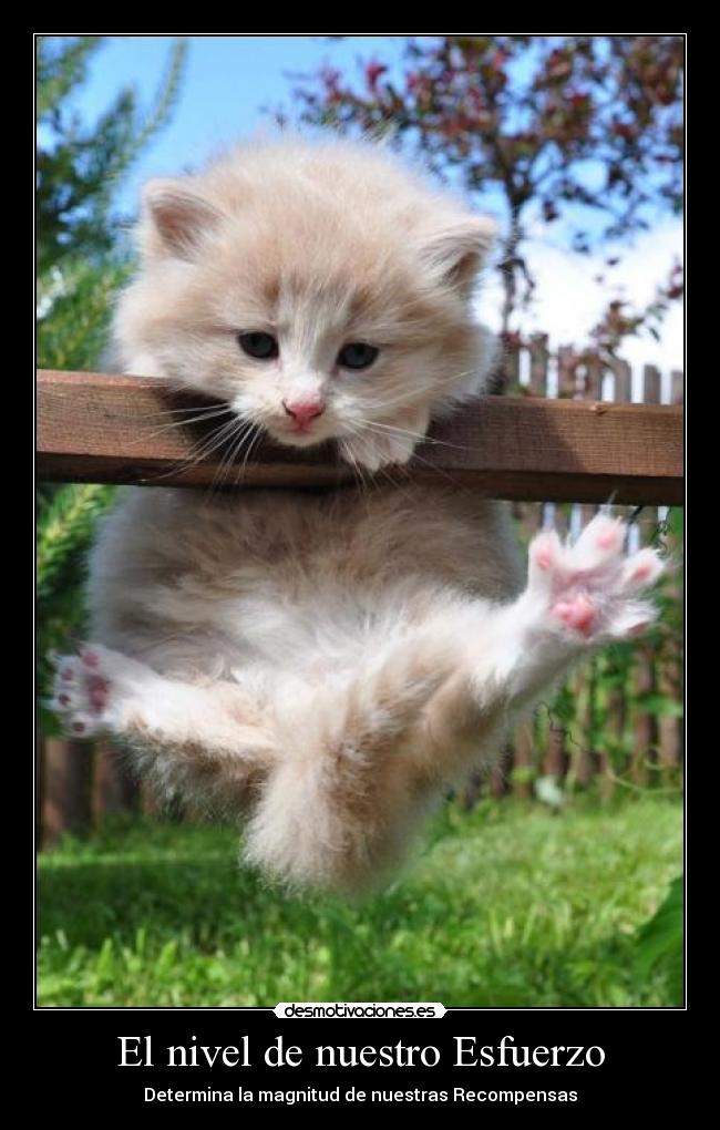 El nivel de nuestro Esfuerzo - Determina la magnitud de nuestras Recompensas