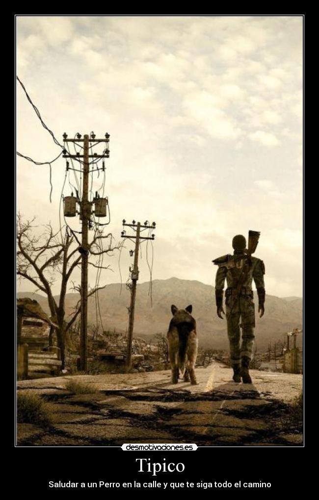 Tipico - Saludar a un Perro en la calle y que te siga todo el camino