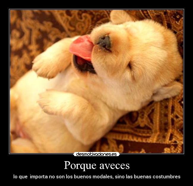 Porque aveces - 