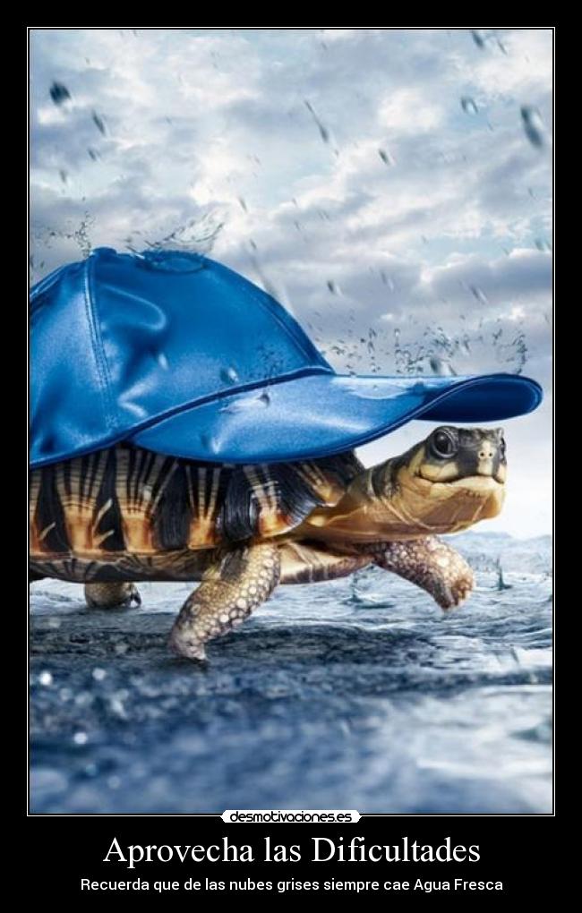 Aprovecha las Dificultades - Recuerda que de las nubes grises siempre cae Agua Fresca