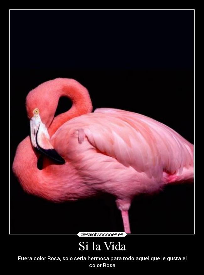 Si la Vida - Fuera color Rosa, solo seria hermosa para todo aquel que le gusta el color Rosa